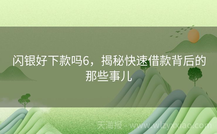 闪银好下款吗6，揭秘快速借款背后的那些事儿