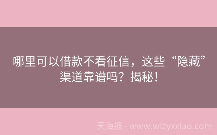 哪里可以借款不看征信，这些“隐藏”渠道靠谱吗？揭秘！
