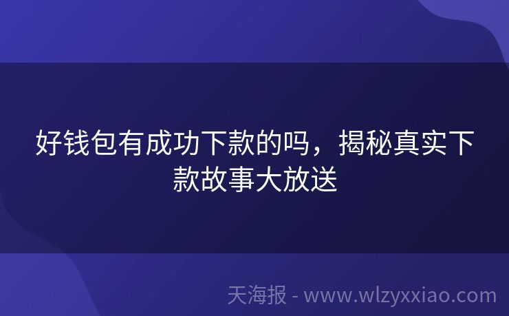 好钱包有成功下款的吗，揭秘真实下款故事大放送