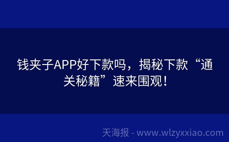 钱夹子APP好下款吗，揭秘下款“通关秘籍”速来围观！