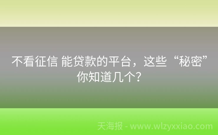 不看征信 能贷款的平台，这些“秘密”你知道几个？