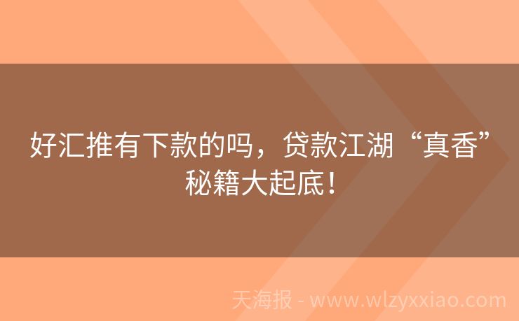 好汇推有下款的吗，贷款江湖“真香”秘籍大起底！