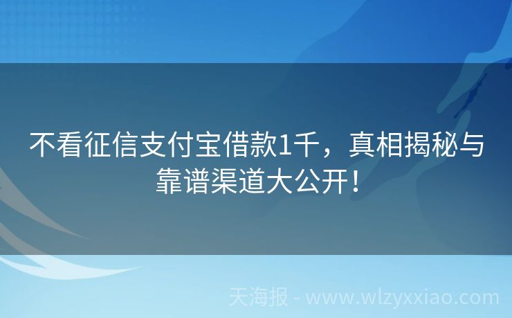 不看征信支付宝借款1千，真相揭秘与靠谱渠道大公开！