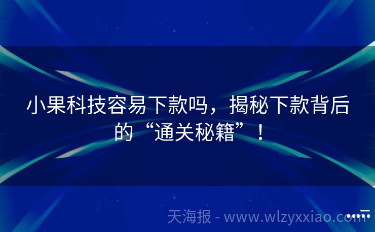 小果科技容易下款吗，揭秘下款背后的“通关秘籍”！