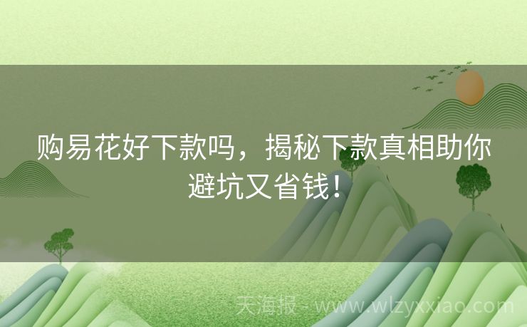 购易花好下款吗，揭秘下款真相助你避坑又省钱！