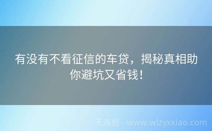 有没有不看征信的车贷，揭秘真相助你避坑又省钱！