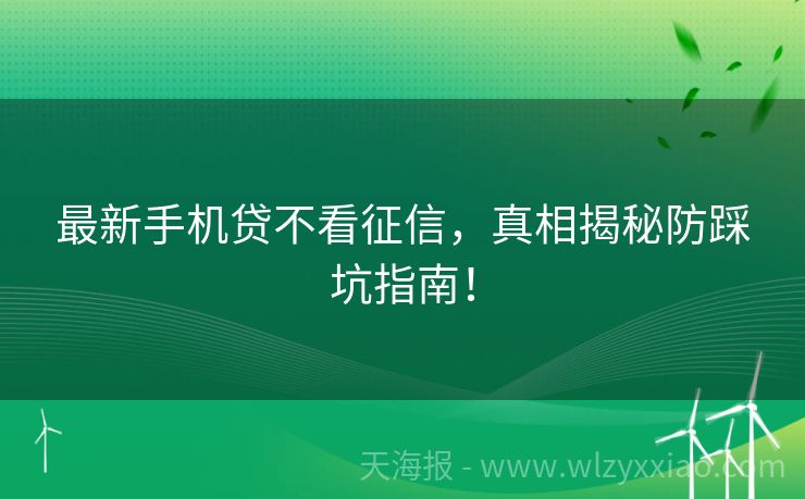 最新手机贷不看征信，真相揭秘防踩坑指南！
