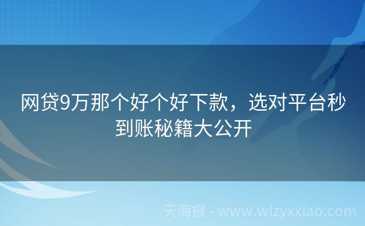 网贷9万那个好个好下款，选对平台秒到账秘籍大公开