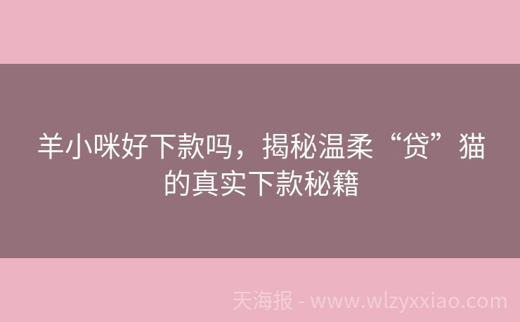 羊小咪好下款吗，揭秘温柔“贷”猫的真实下款秘籍