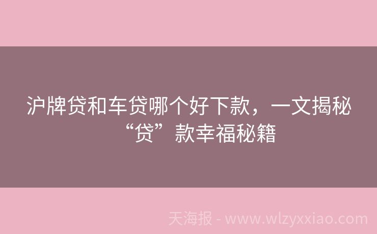 沪牌贷和车贷哪个好下款，一文揭秘“贷”款幸福秘籍