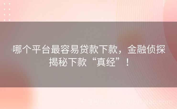 哪个平台最容易贷款下款，金融侦探揭秘下款“真经”！