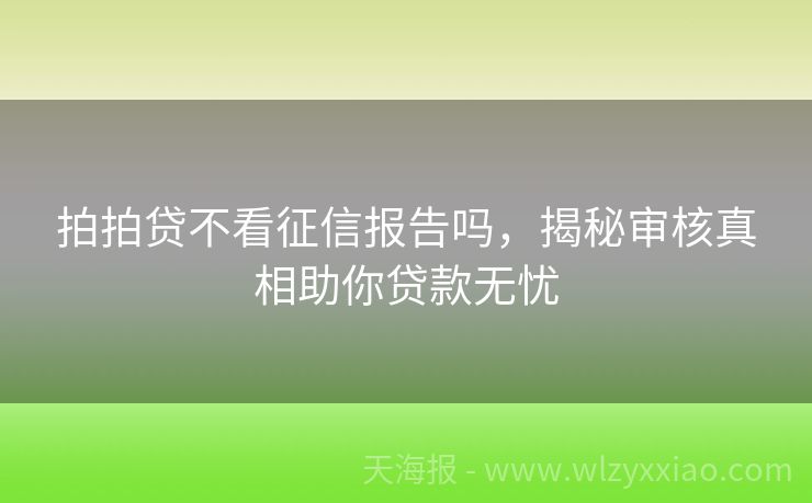 拍拍贷不看征信报告吗，揭秘审核真相助你贷款无忧