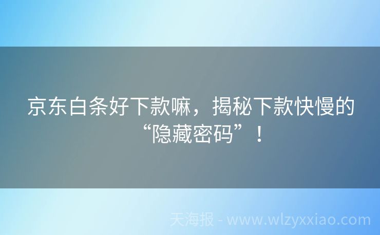 京东白条好下款嘛，揭秘下款快慢的“隐藏密码”！