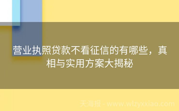 营业执照贷款不看征信的有哪些，真相与实用方案大揭秘