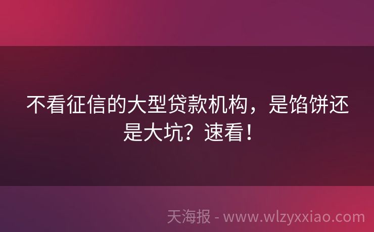 不看征信的大型贷款机构，是馅饼还是大坑？速看！