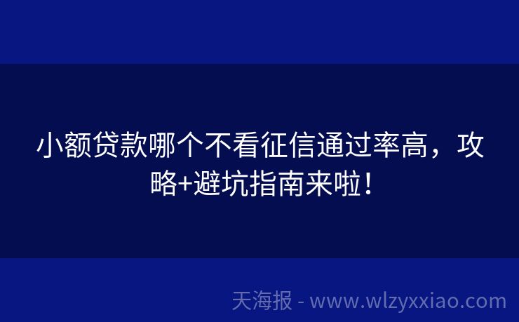 小额贷款哪个不看征信通过率高，攻略+避坑指南来啦！