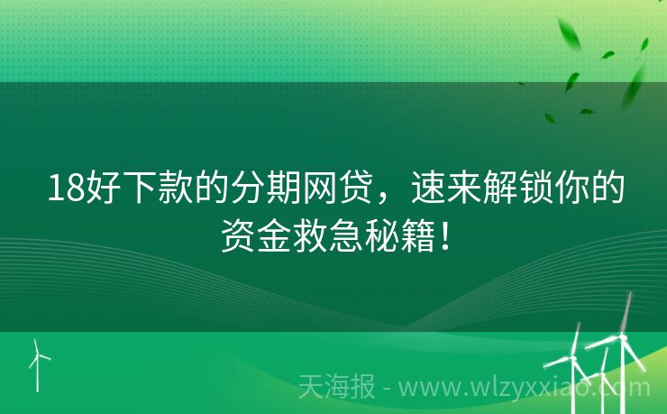 18好下款的分期网贷，速来解锁你的资金救急秘籍！