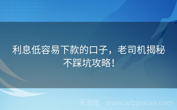 利息低容易下款的口子，老司机揭秘不踩坑攻略！