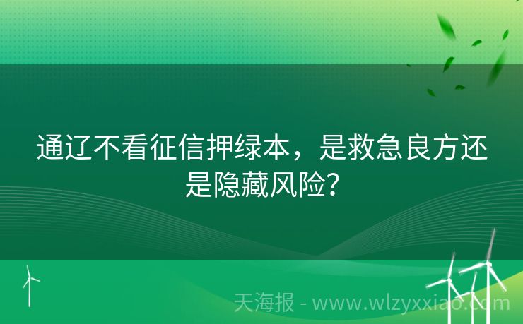 通辽不看征信押绿本，是救急良方还是隐藏风险？