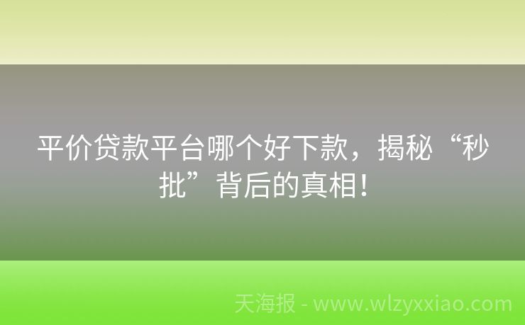 平价贷款平台哪个好下款，揭秘“秒批”背后的真相！