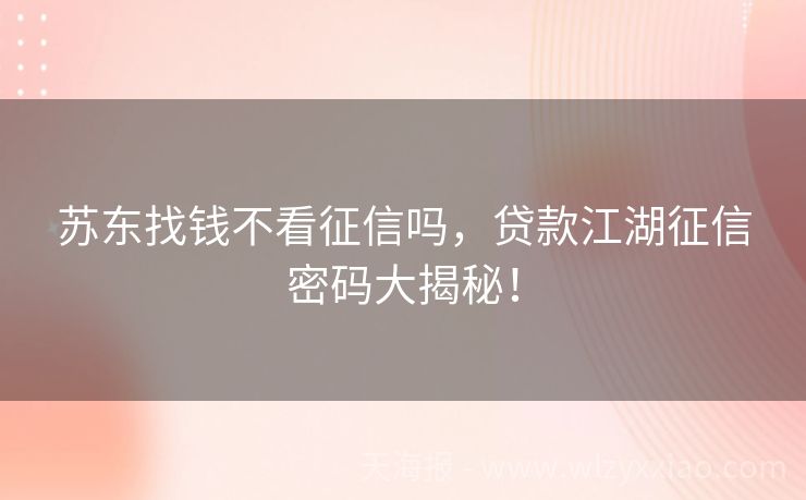苏东找钱不看征信吗，贷款江湖征信密码大揭秘！