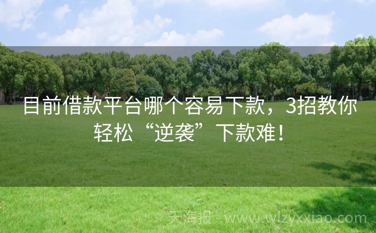 目前借款平台哪个容易下款，3招教你轻松“逆袭”下款难！