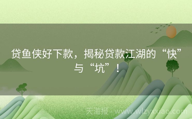 贷鱼侠好下款，揭秘贷款江湖的“快”与“坑”！