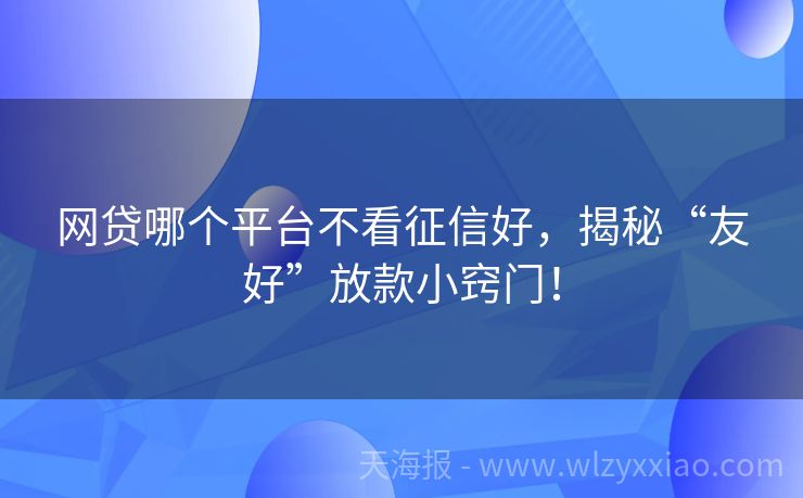 网贷哪个平台不看征信好，揭秘“友好”放款小窍门！