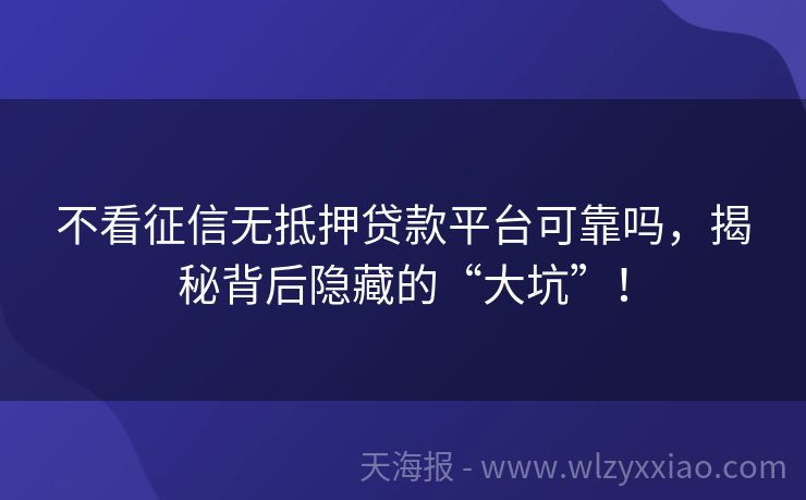 不看征信无抵押贷款平台可靠吗，揭秘背后隐藏的“大坑”！