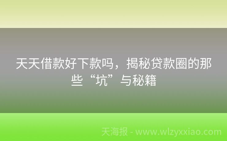 天天借款好下款吗，揭秘贷款圈的那些“坑”与秘籍