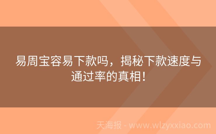易周宝容易下款吗，揭秘下款速度与通过率的真相！