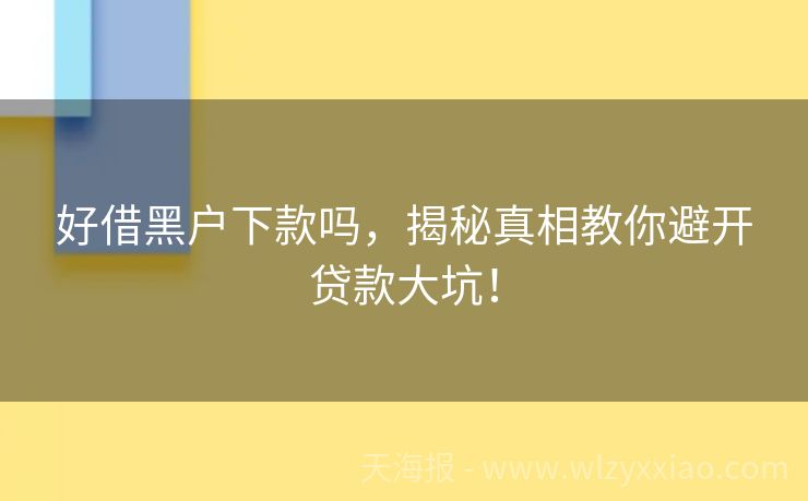 好借黑户下款吗，揭秘真相教你避开贷款大坑！