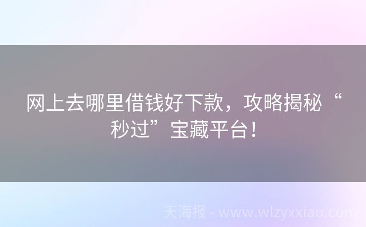 网上去哪里借钱好下款，攻略揭秘“秒过”宝藏平台！