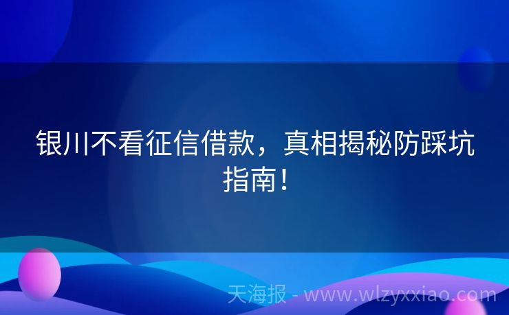 银川不看征信借款，真相揭秘防踩坑指南！