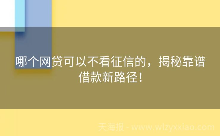 哪个网贷可以不看征信的，揭秘靠谱借款新路径！
