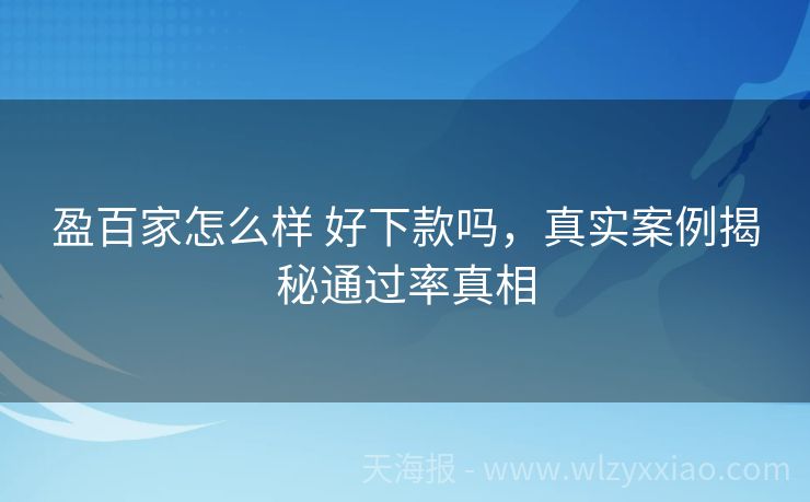 盈百家怎么样 好下款吗，真实案例揭秘通过率真相