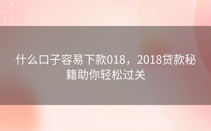 什么口子容易下款018，2018贷款秘籍助你轻松过关