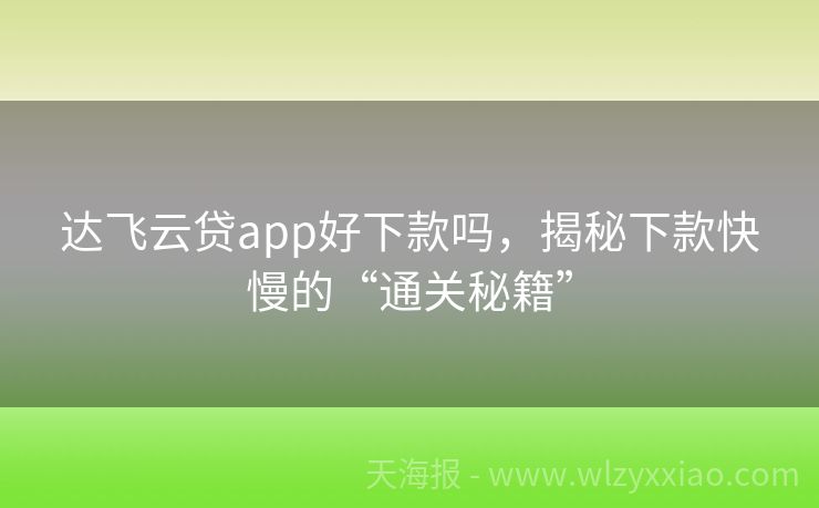 达飞云贷app好下款吗，揭秘下款快慢的“通关秘籍”