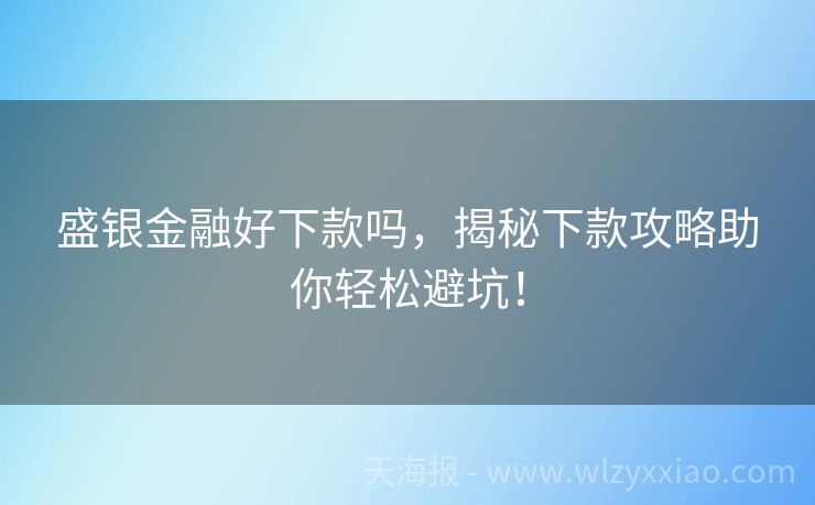 盛银金融好下款吗，揭秘下款攻略助你轻松避坑！