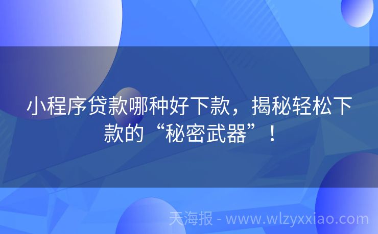 小程序贷款哪种好下款，揭秘轻松下款的“秘密武器”！