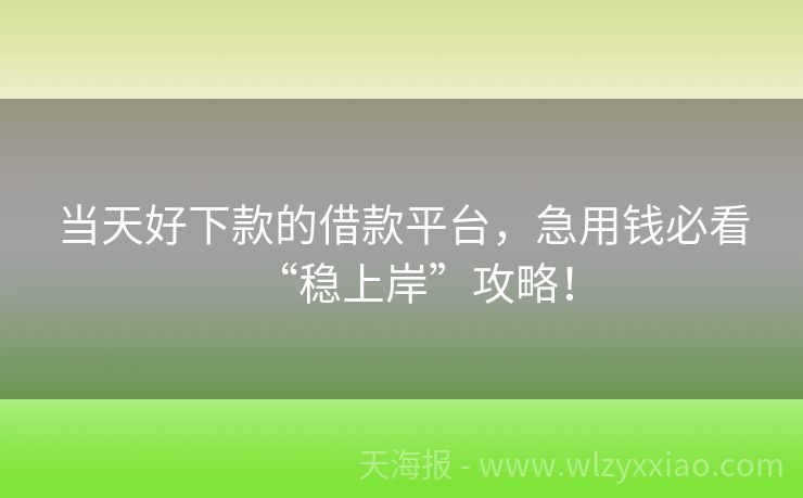 当天好下款的借款平台，急用钱必看“稳上岸”攻略！