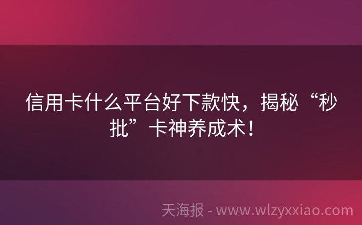 信用卡什么平台好下款快，揭秘“秒批”卡神养成术！