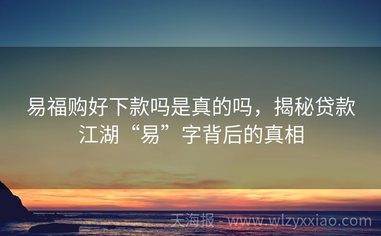 易福购好下款吗是真的吗，揭秘贷款江湖“易”字背后的真相