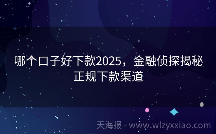 哪个口子好下款2025，金融侦探揭秘正规下款渠道