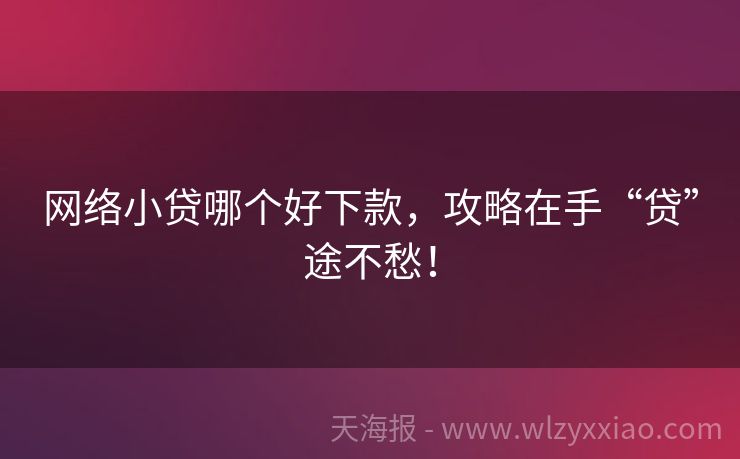 网络小贷哪个好下款，攻略在手“贷”途不愁！