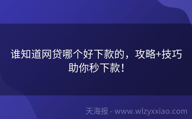 谁知道网贷哪个好下款的，攻略+技巧助你秒下款！