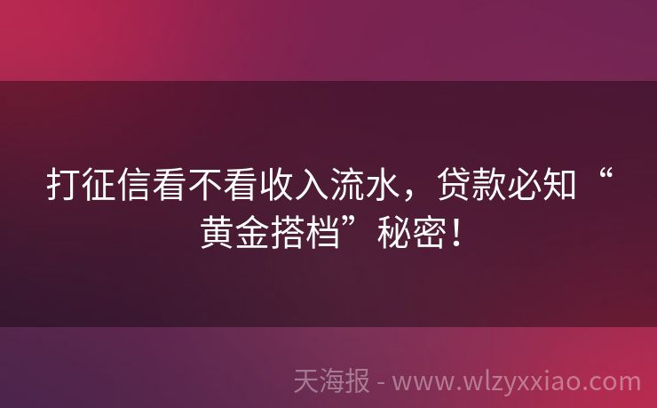 打征信看不看收入流水，贷款必知“黄金搭档”秘密！
