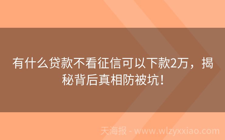 有什么贷款不看征信可以下款2万，揭秘背后真相防被坑！