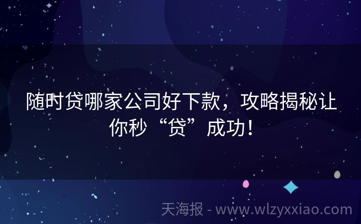 随时贷哪家公司好下款，攻略揭秘让你秒“贷”成功！