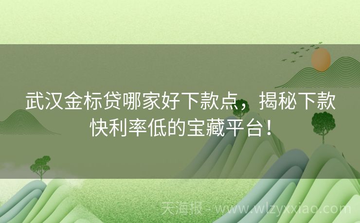 武汉金标贷哪家好下款点，揭秘下款快利率低的宝藏平台！